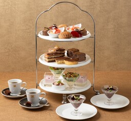 おやつカンパニー初!「ウェルネスフードジャパン2025」に『BODY STAR プロテインスナック』シリーズを出展