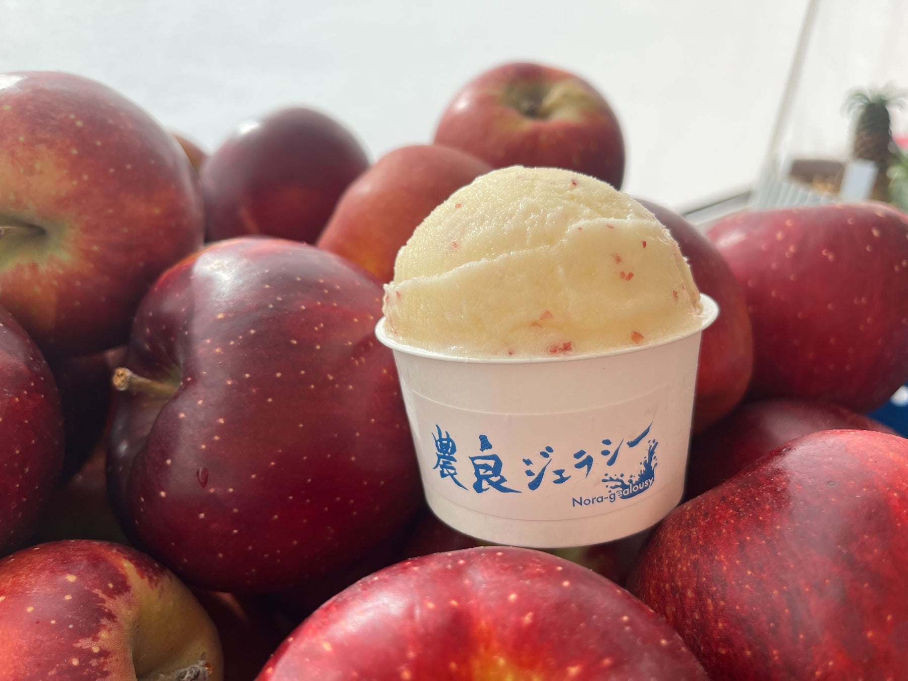 クリスマスディナー特別運行2025を開催します!