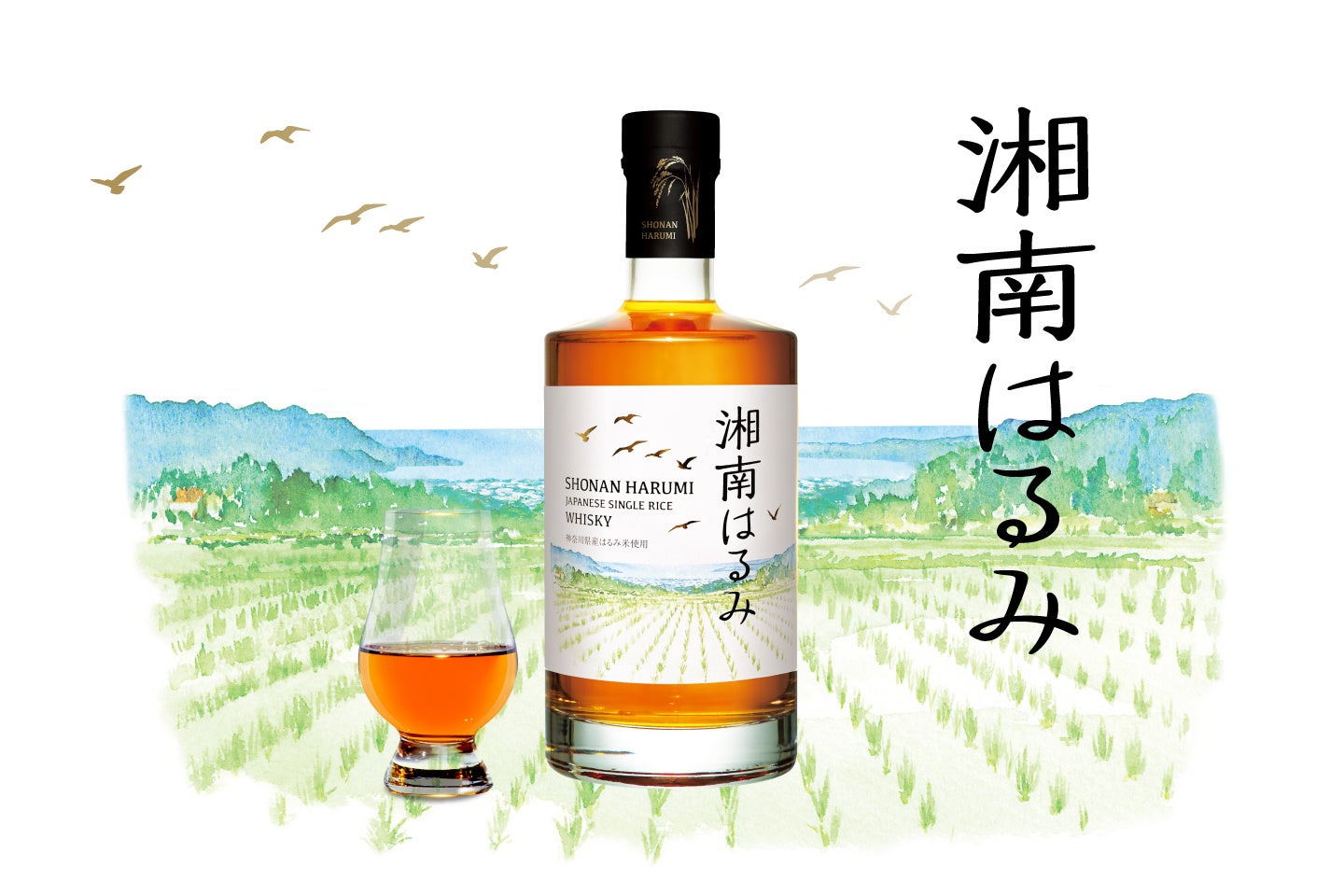 東松山ふぉれ、東松山市・武蔵丘短期大学と産学官連携協定を締結