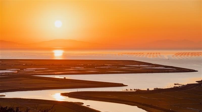 回転すし「スシロー」と同じグループである、大衆寿司居酒屋「鮨 酒 肴 杉玉」が東海地方に初出店!