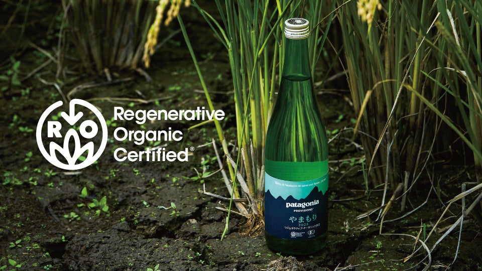 【年に一度の肉祭り】11月29日は”いい肉の日”!豪華賞品が当たる大抽選会開催!第66回宮崎県畜産共進会出品牛やグランドチャンピオン豚の特別販売、詰め放題イベントなど当日限りのお得が盛りだくさん!