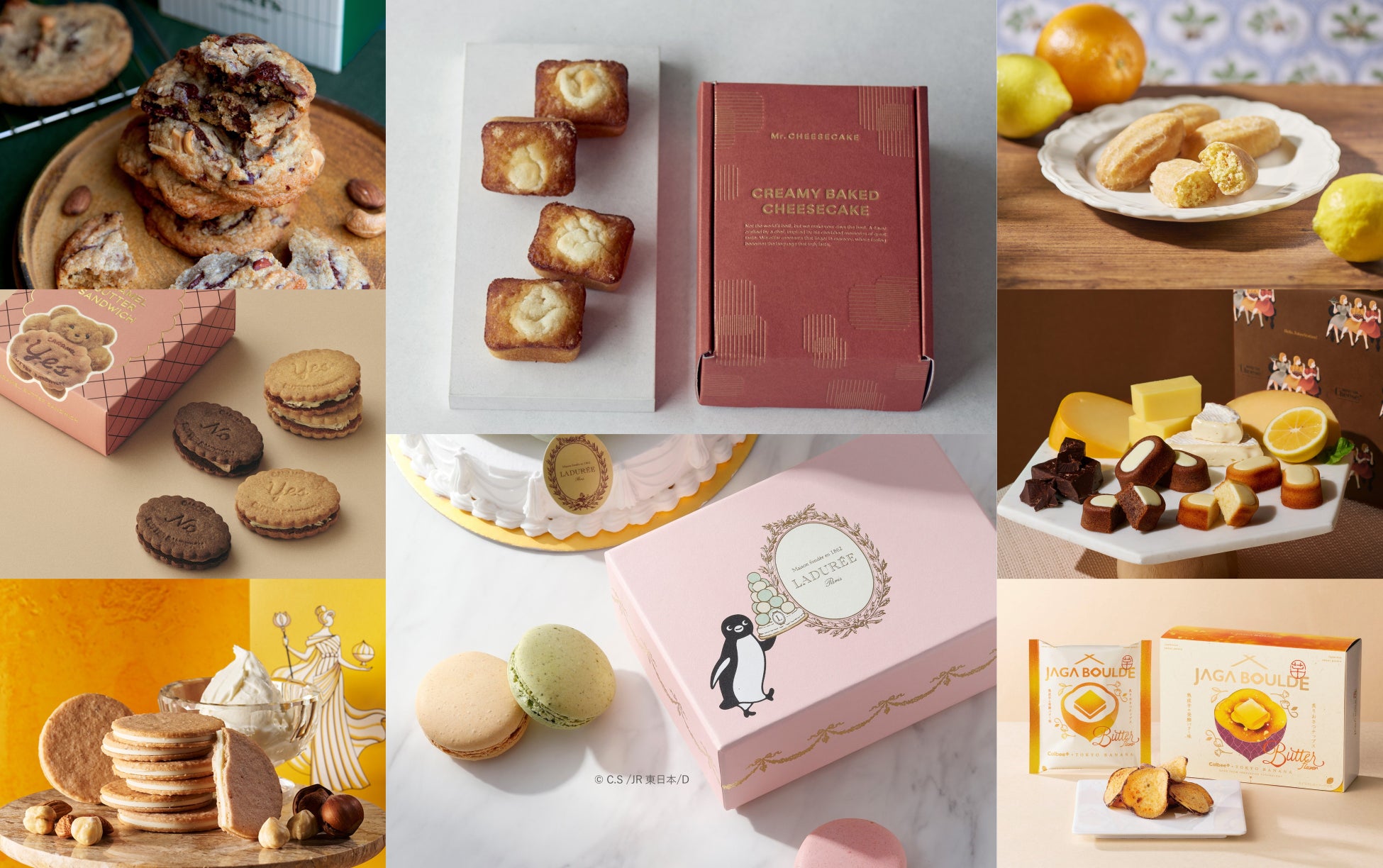 筋力トレーニング前の高カカオチョコレート摂取が動脈の硬さに与える影響について