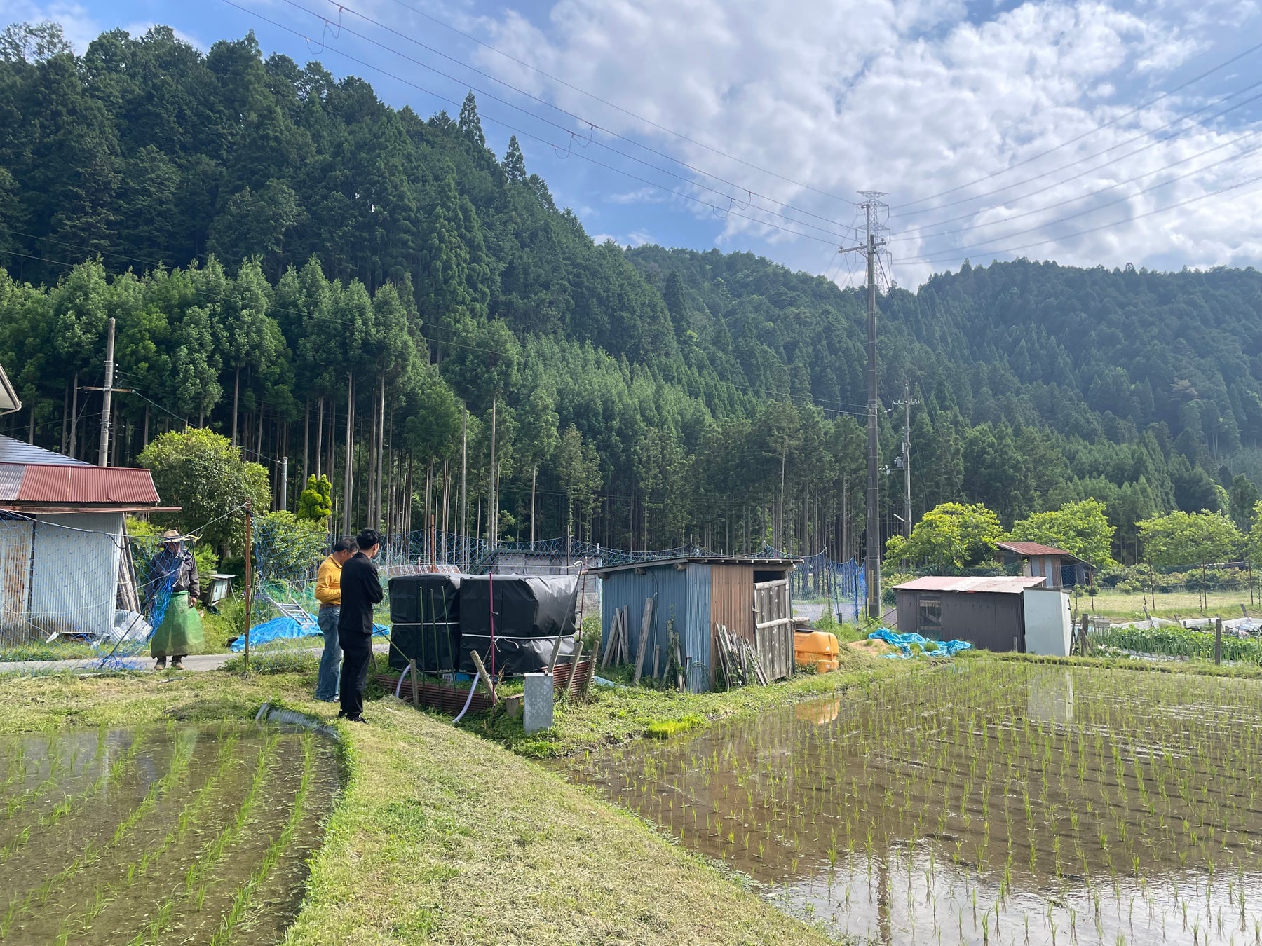 【ザ・プリンス 京都宝ヶ池】 「メインダイニング いと桜」シェフ野口 紗和子、和食の技法と冬の素材に出会う　五感に響くスペシャルディナーコース 「サンク サヴール」冬メニューを販売