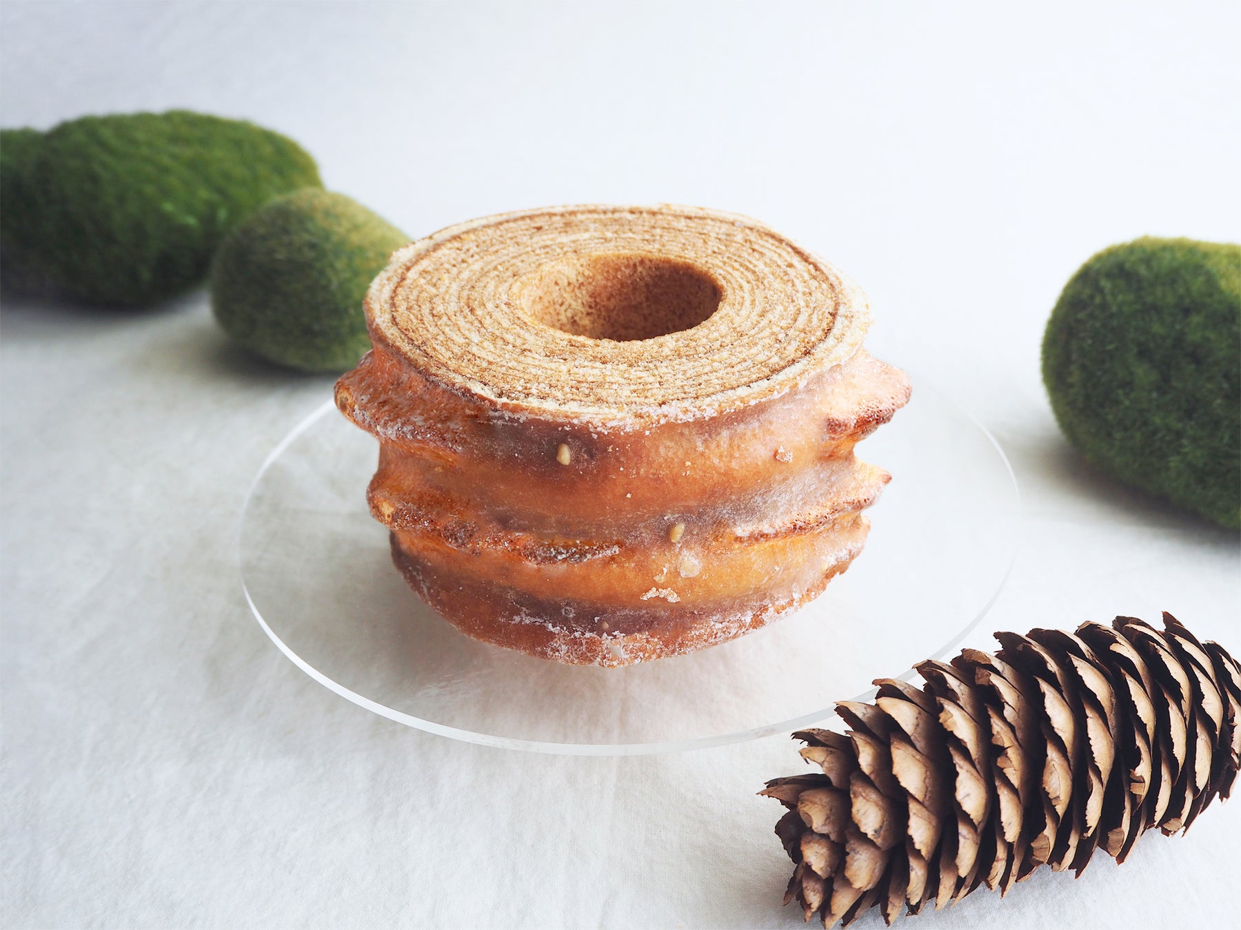 【山本圭壱】イオンモール土岐へ「弾丸訪問」決定！極楽とんぼ 山本圭壱が感謝を伝える、岐阜土岐店「超限定グリーティング」開催！