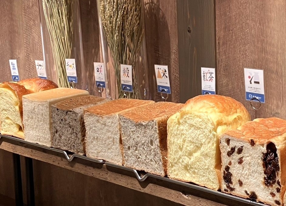 【ヴィノテラス】ペアリングの基礎理論 2026年1月開講