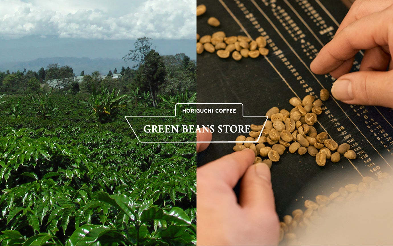 いま、世界の美食家たちを魅了する日本酒の魅力とは ~海外トップソムリエたちが来日し「世界から見た日本酒」の魅力を語る~