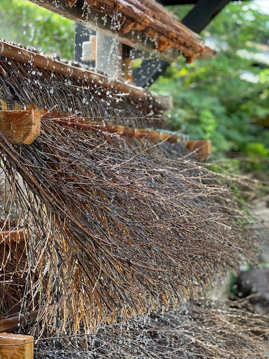 【2026年福袋】甘味処鎌倉×モンチッチ桐箱入りわらびもちが登場!