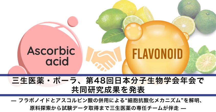 料理の「タイパ」向上、年末のキッチンを応援!片手操作可能な調味料入れ&オイルポットなど6タイプを同時リリース。
