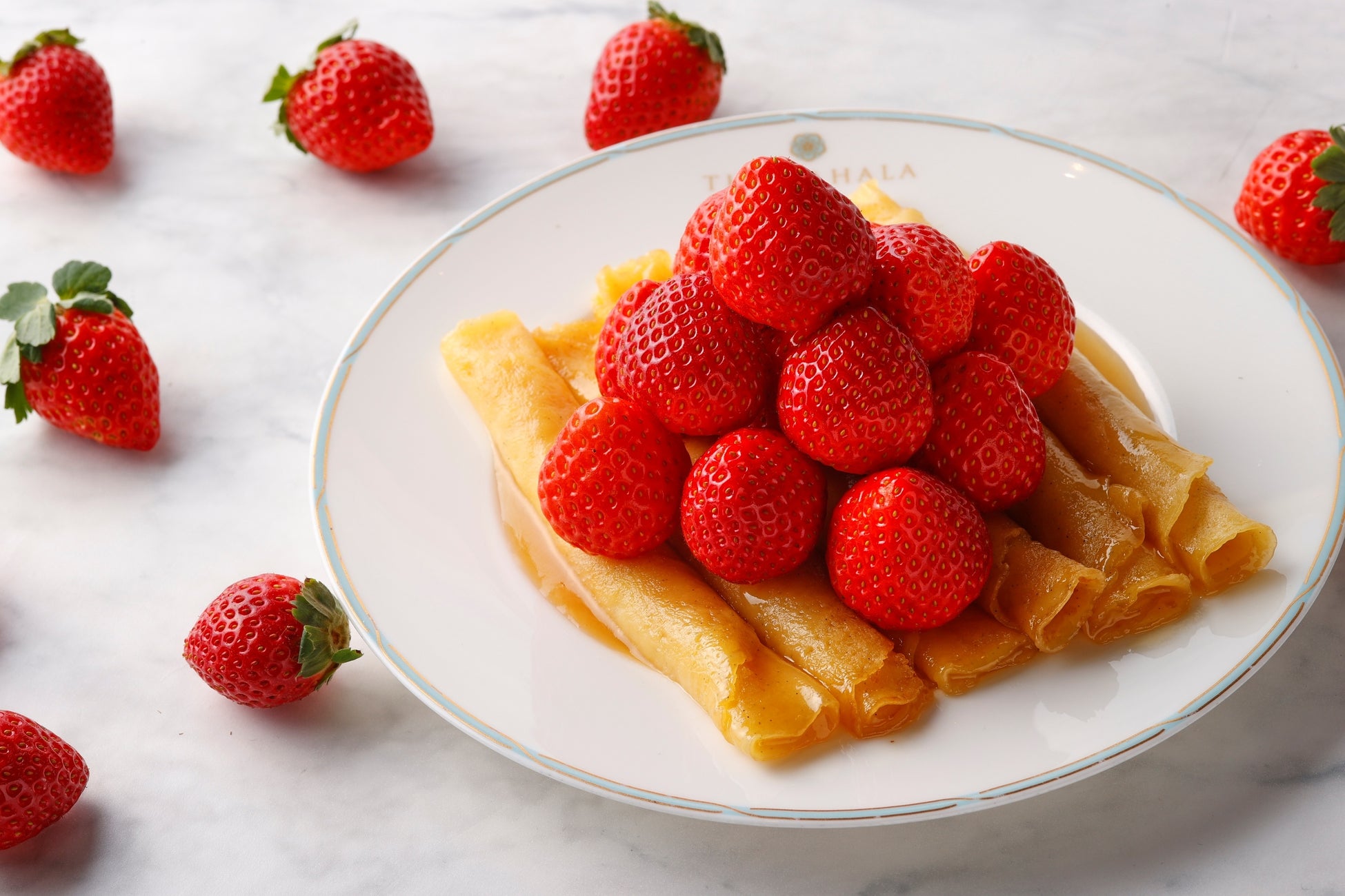 12月6日（土）より『ムーミン谷でゆきあそび』がバージョンアップコケムス前芝生広場は「そりあそび広場」に！