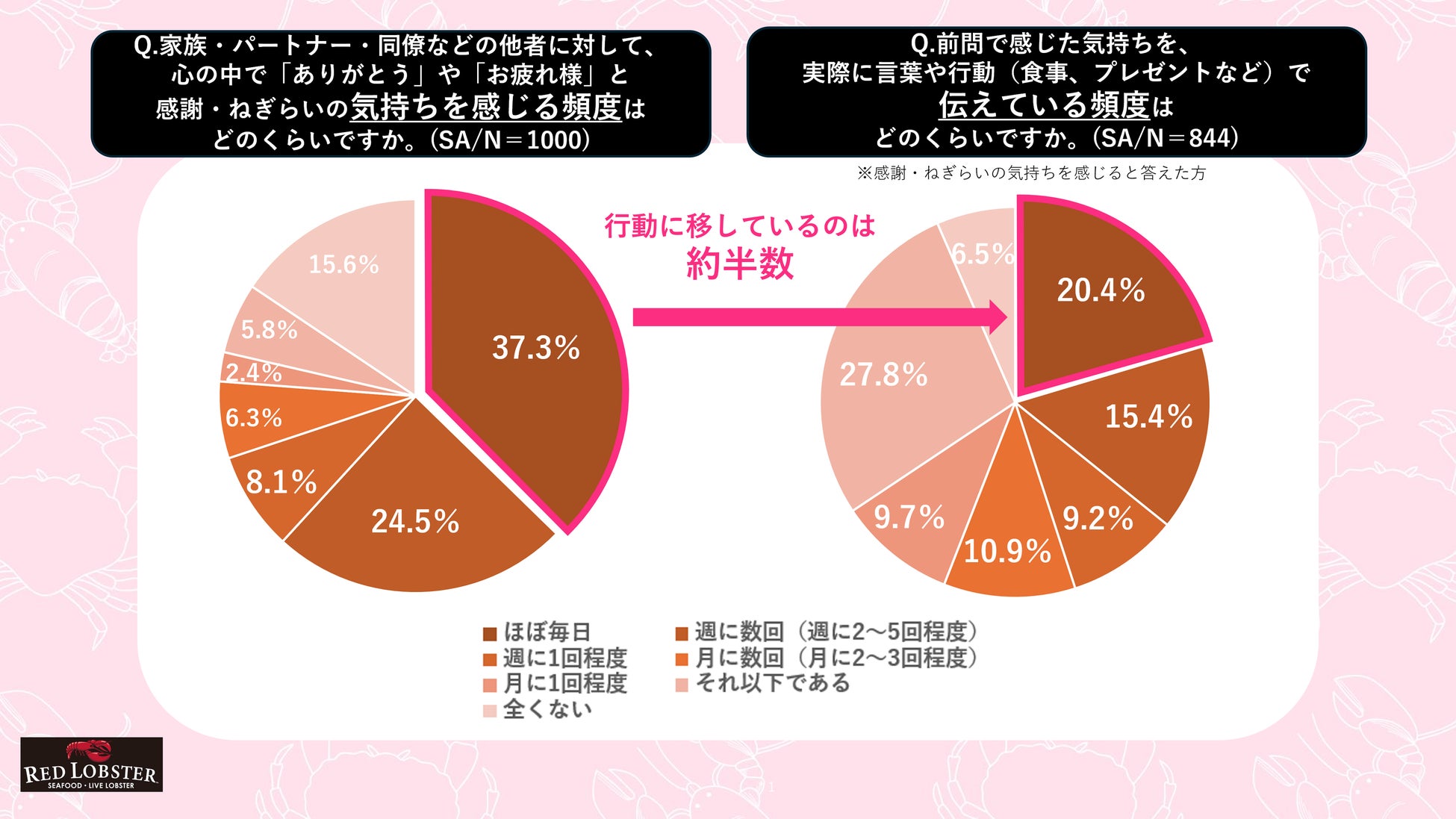 ヒルトン沖縄宮古島リゾート「世界を旅するチョコレートビュッフェ」~ベリーと奏でる、甘美なひととき~を開催