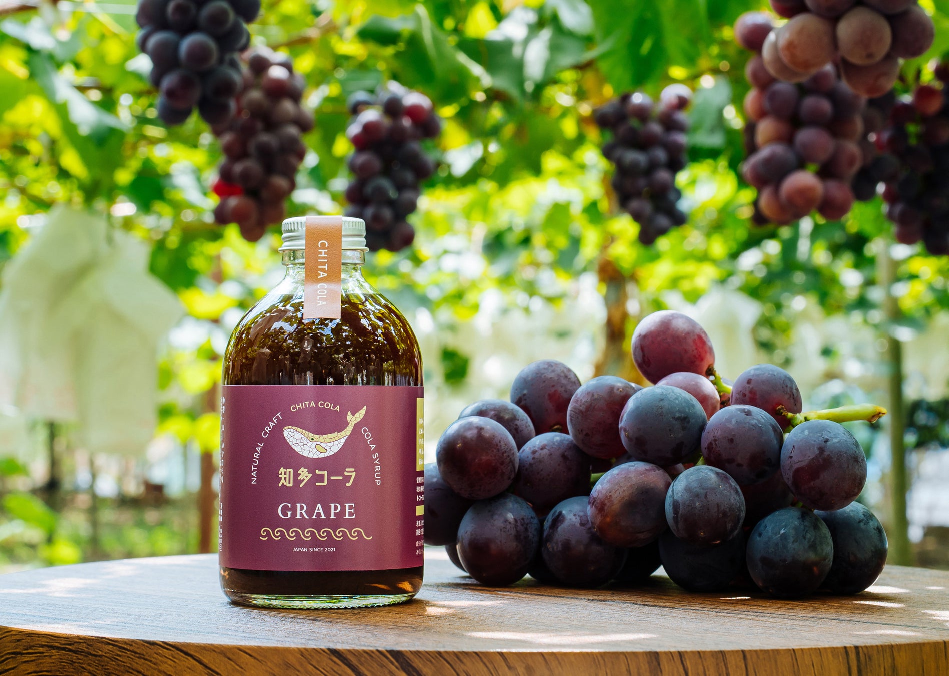 Mr. CHEESECAKEのしっとり感とふんわり感を両立させた「square roll cake」が「ベストお取り寄せ大賞2025」で総合5位、手土産部門 金賞を受賞