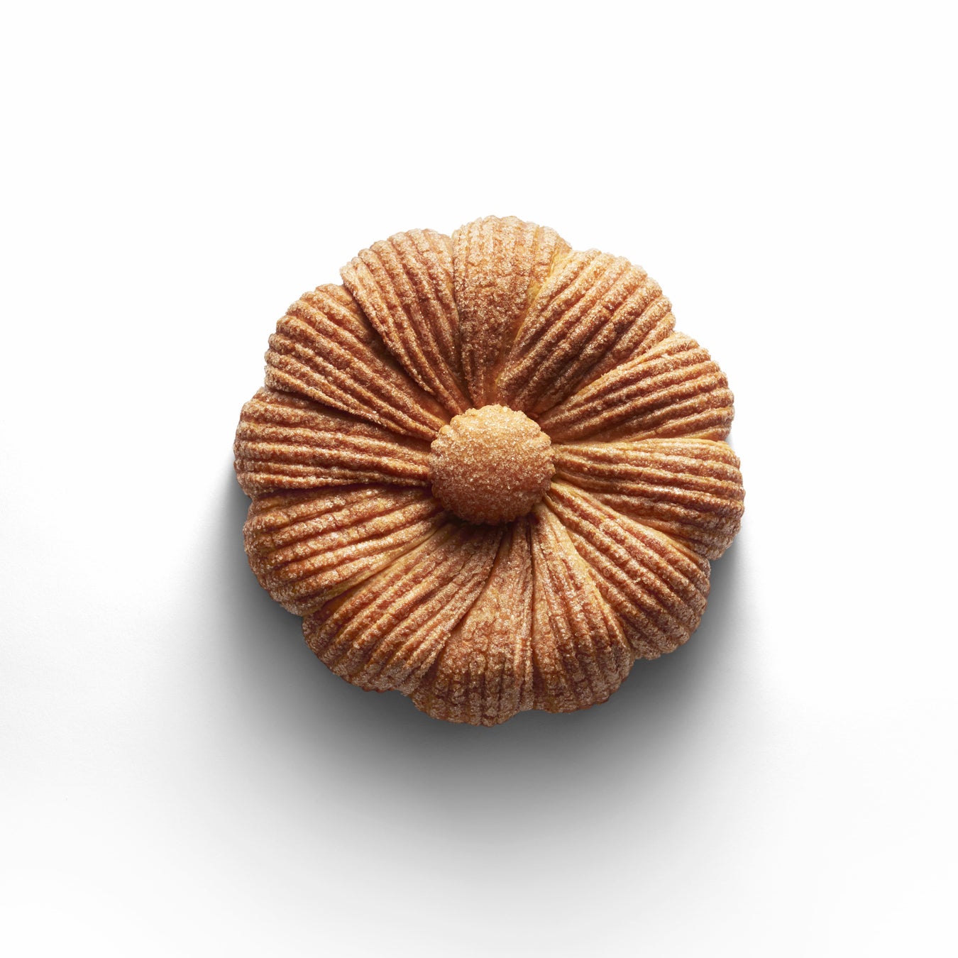 ヤマモリ株式会社「とこわか食と元気フェア」で減塩商品を紹介