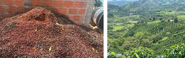 【光を味わう菓子】正倉院の宝物を空想して設計した Not Wagashi『クリスタルバターサンド《秘宝》』発売