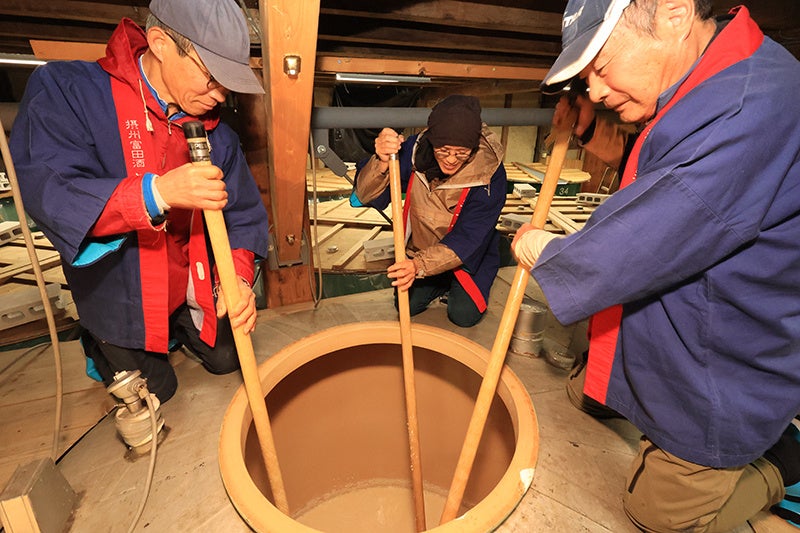 自家製パン食べ放題ランチに、甘くて美味しい、いちごの冬限定パンが登場! / TOOTH TOOTH FISH IN THE FOREST