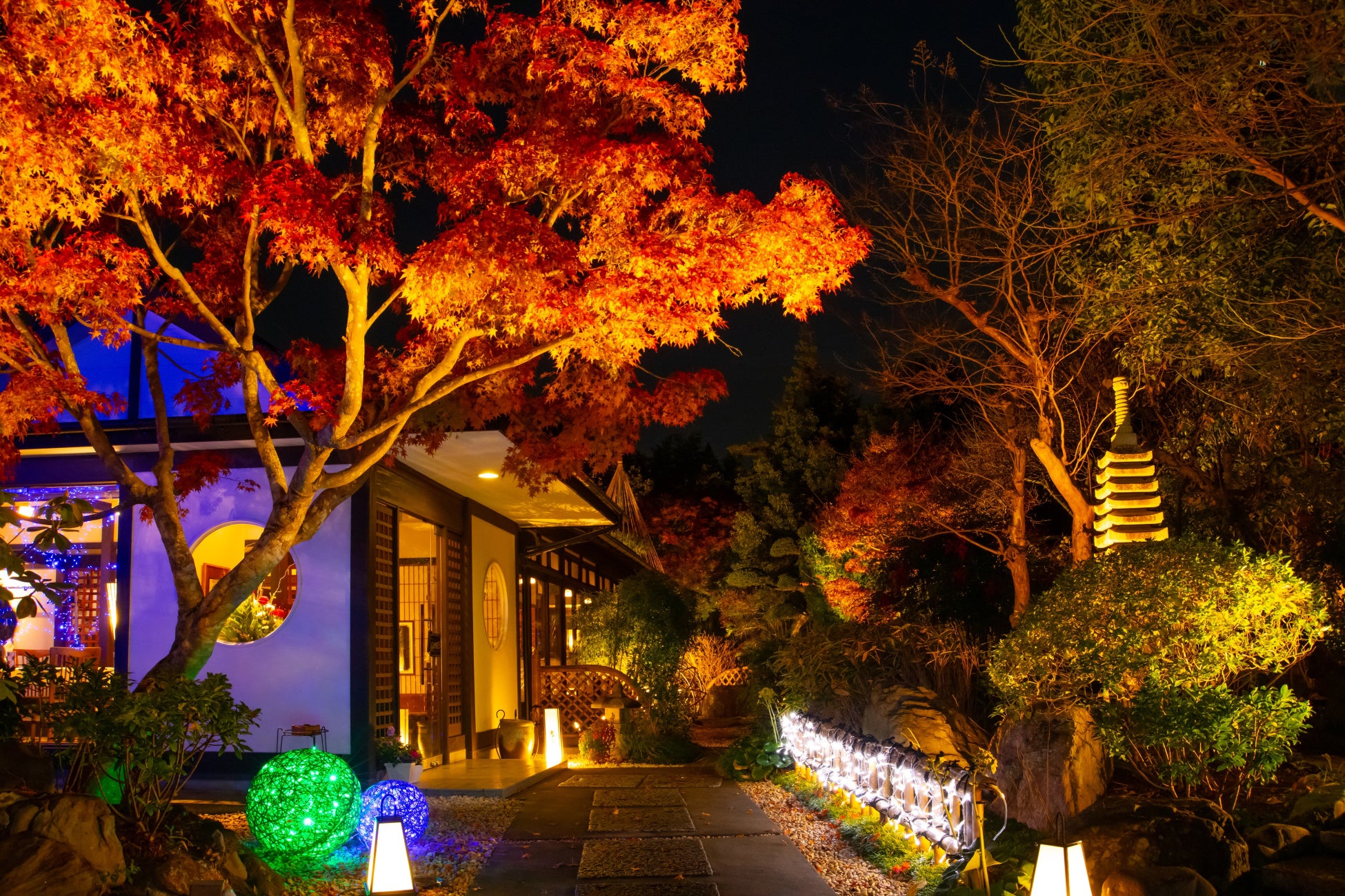 【刺身、寿司、海鮮丼が半額！ハイボールは激安の99円】朝霞台南口の『大庄水産』で衝撃の2日間！12/10(水)から12/11(木)まで限定