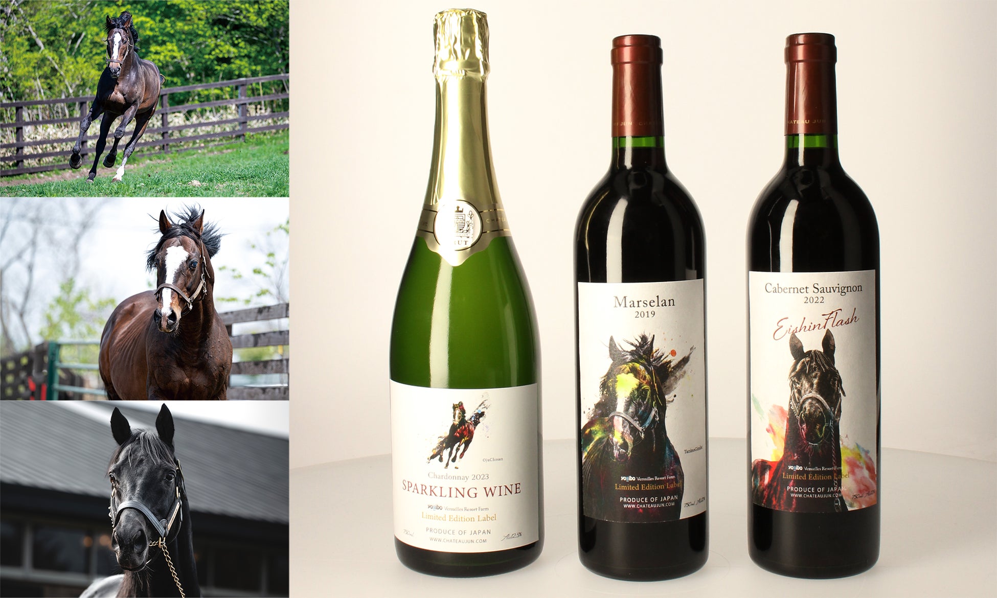 「ヴェルサイユリゾートファーム」の名馬をモチーフにした特別なワインが「シャトージュン」から登場！