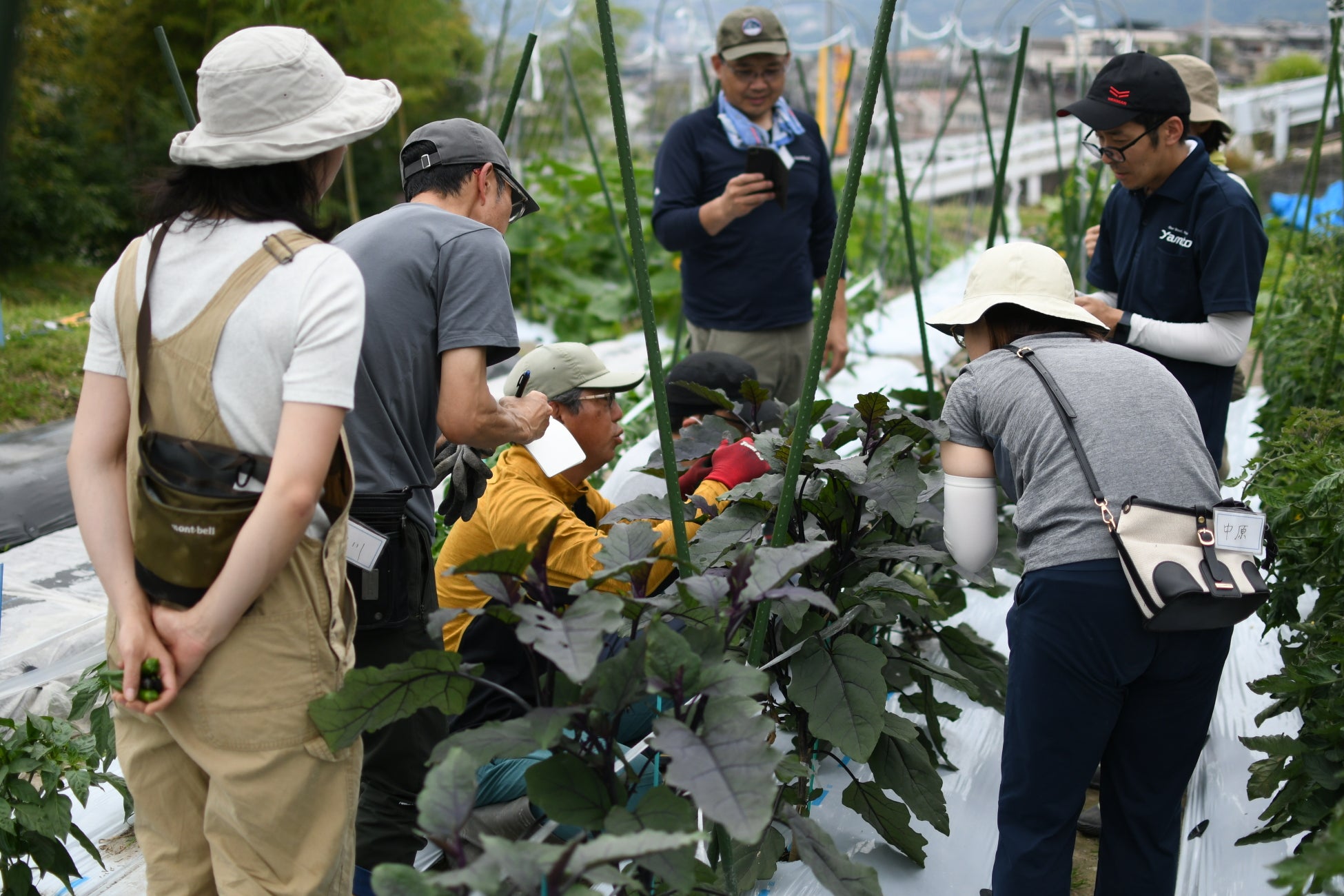 市主催農業就農支援スクールの受講生が4年で100人を突破！マルシェや飲食店コラボ企画など、若手農家と消費者を繋ぐまちぐるみの取組で、住宅都市ならではの農業モデル確立へ