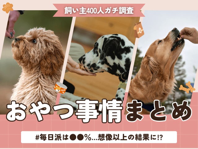 【飼い主400人に調査】約●割が愛犬に毎日おやつを与えている事実！与えすぎ注意…知らないと危険な“量バランス”とは？