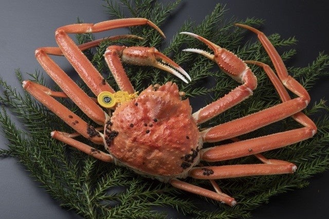 【マルシェのオンラインストア】初の「福袋」がついに登場!おうちが居酒屋に早変わりする「焼鳥パーティ福袋」など全7種を発売。「八剣伝」の人気メニューや秘伝のタレ、焼酎など、最大3,000円お得に。