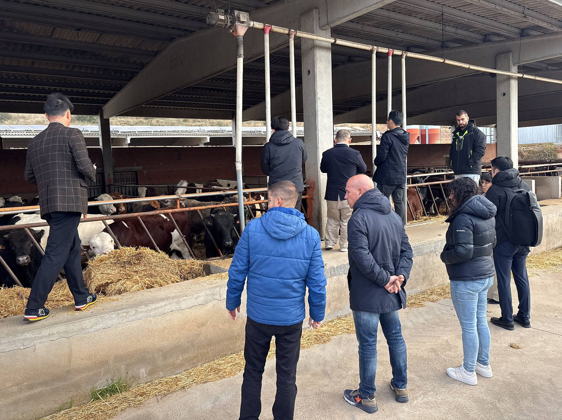 日本の大手食肉輸入企業6社がスペインを訪問。欧州産牛肉の品質・安全性を評価