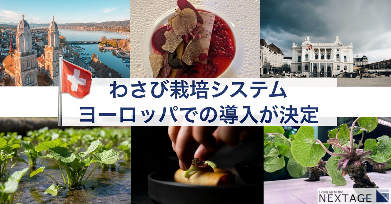 【全国1000人調査で明らかに】2人に1人が疲労を自覚、7割が体型の悩み―原因は“細胞代謝の低下”