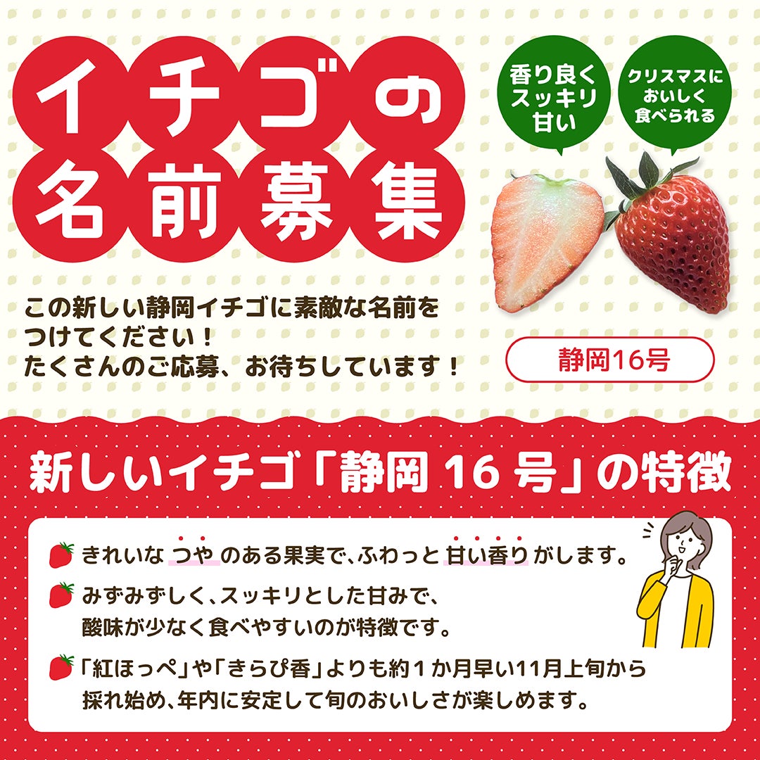 【イチゴの名前募集】　新品種「静岡16号」　採用者景品あり