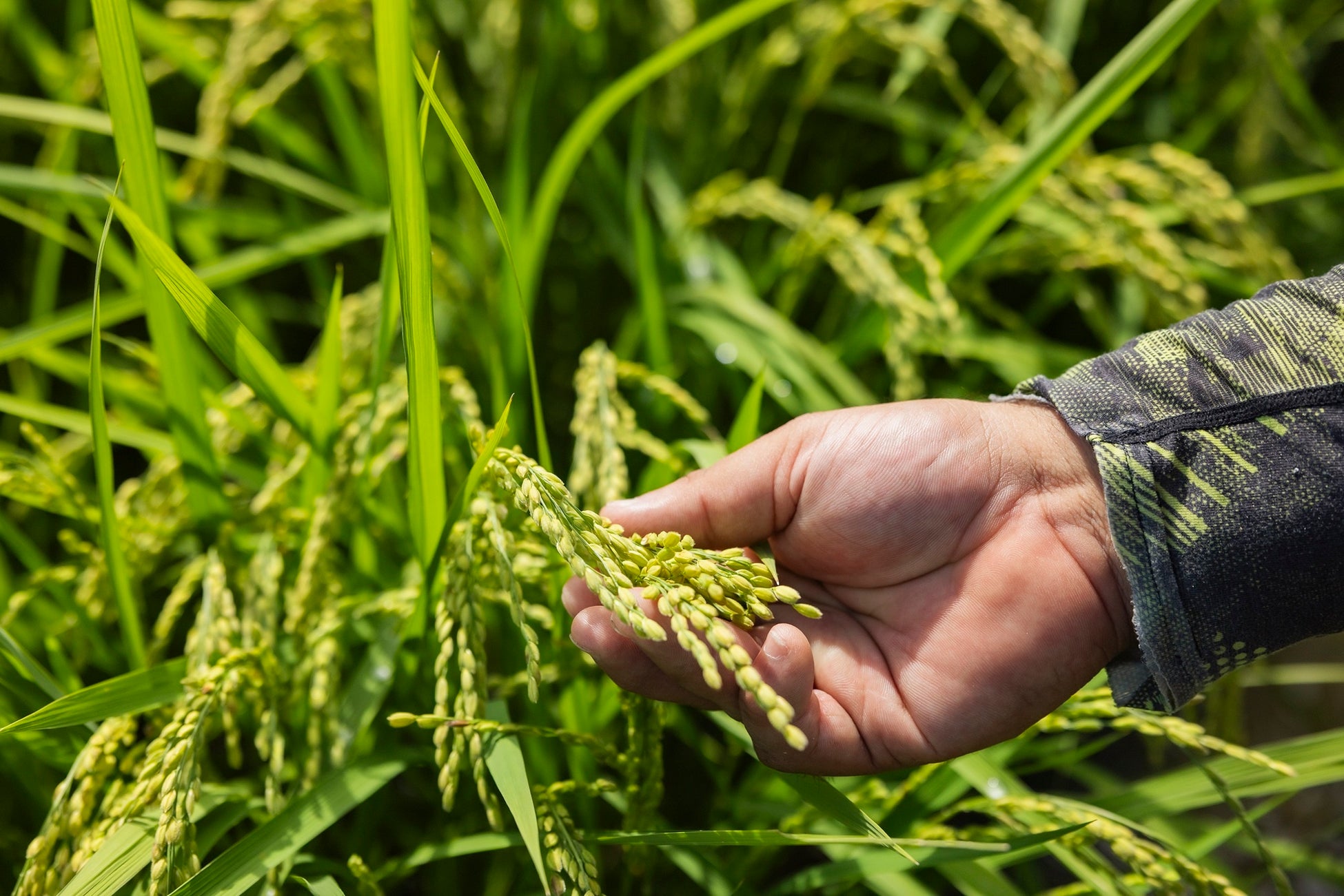 110店舗が参加する回遊型イベント「関西ジンラリー2026」開催決定