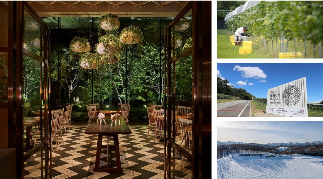 福岡市能古島で“収穫・つくる・いただく”を体験!ピエトロが公立小学校で【収穫体験×食育×キャリア教育】特別授業を実施