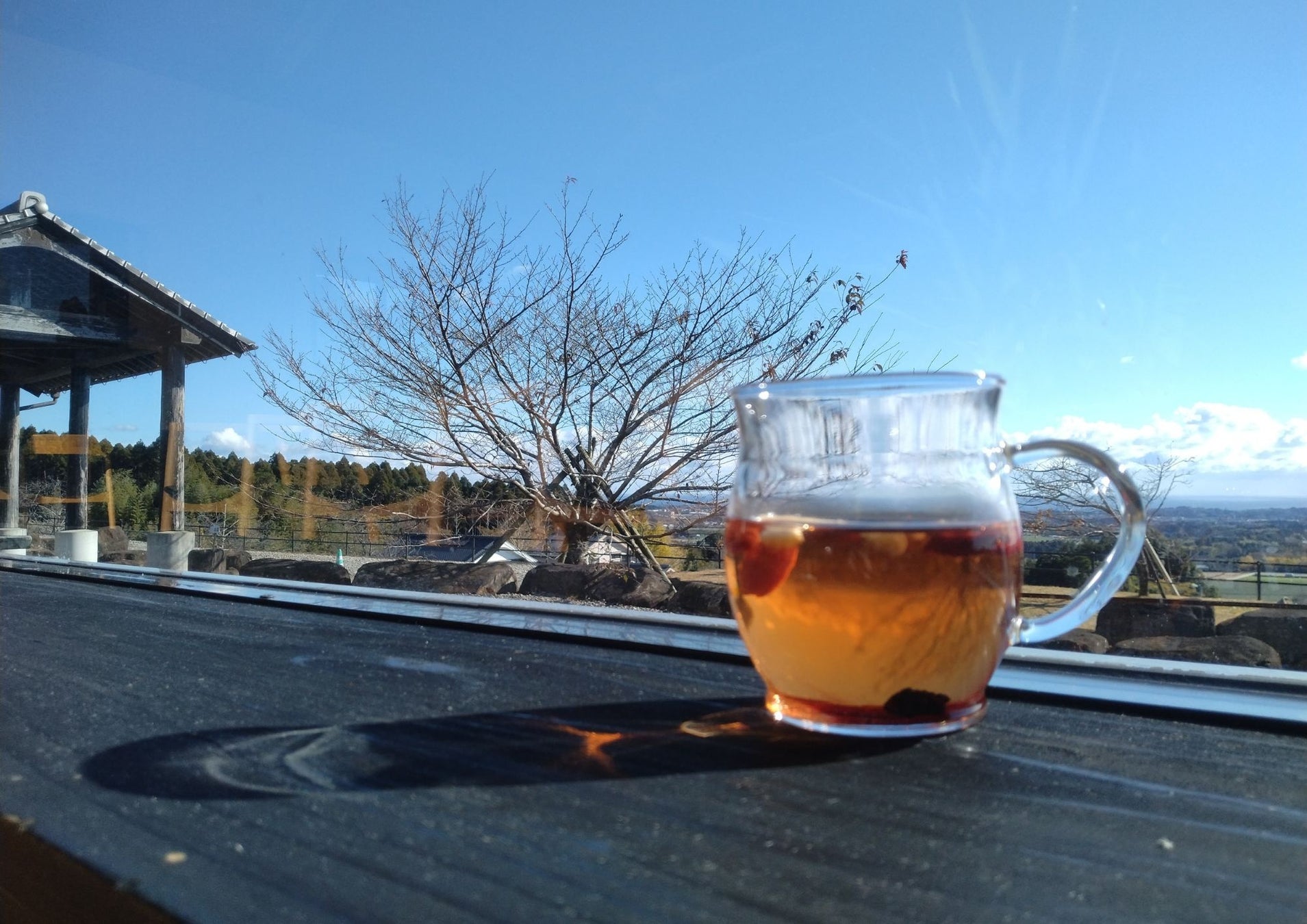 フェムケア発想の薬膳茶！ 女性のゆらぎ「なんとなく不調」に。“素材を噛んで全部食べる”新感覚「食べる薬膳茶」がリニューアル