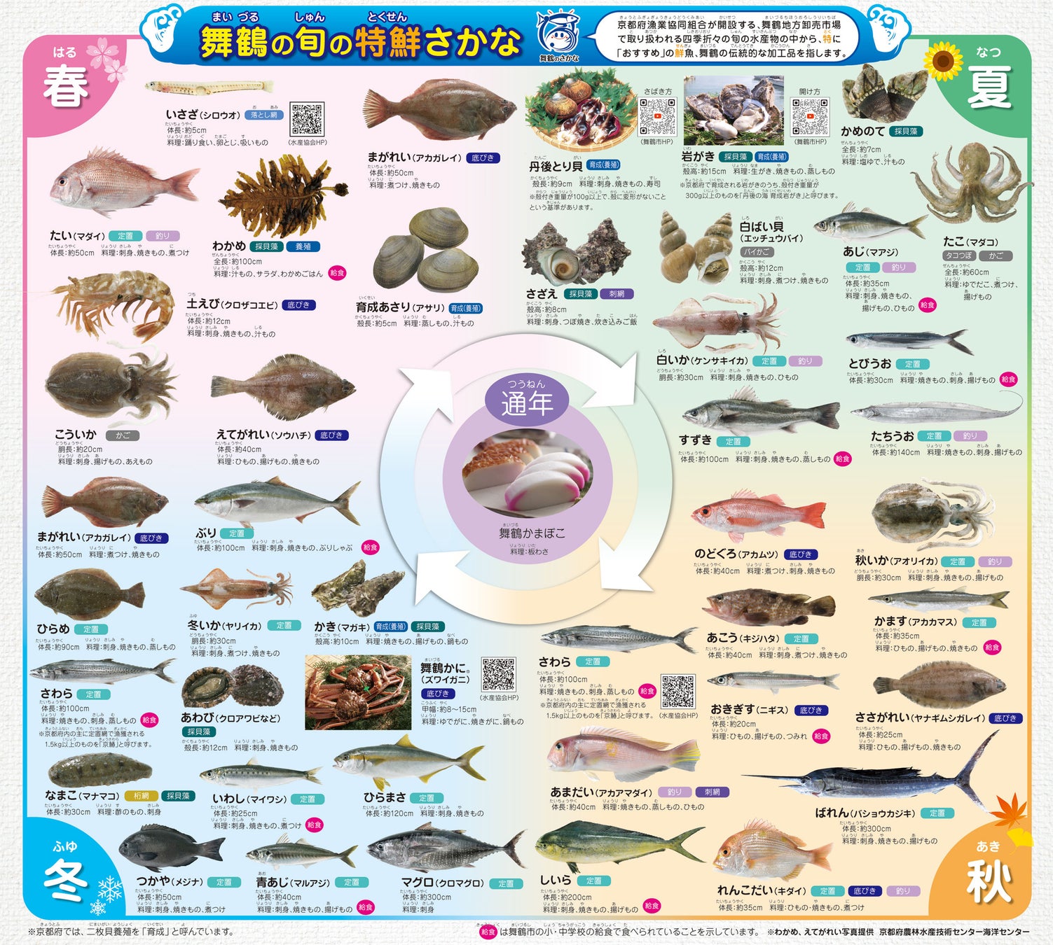 【京都府舞鶴市】約10年ぶりに「舞鶴の旬の特鮮さかな」をバージョンアップ！