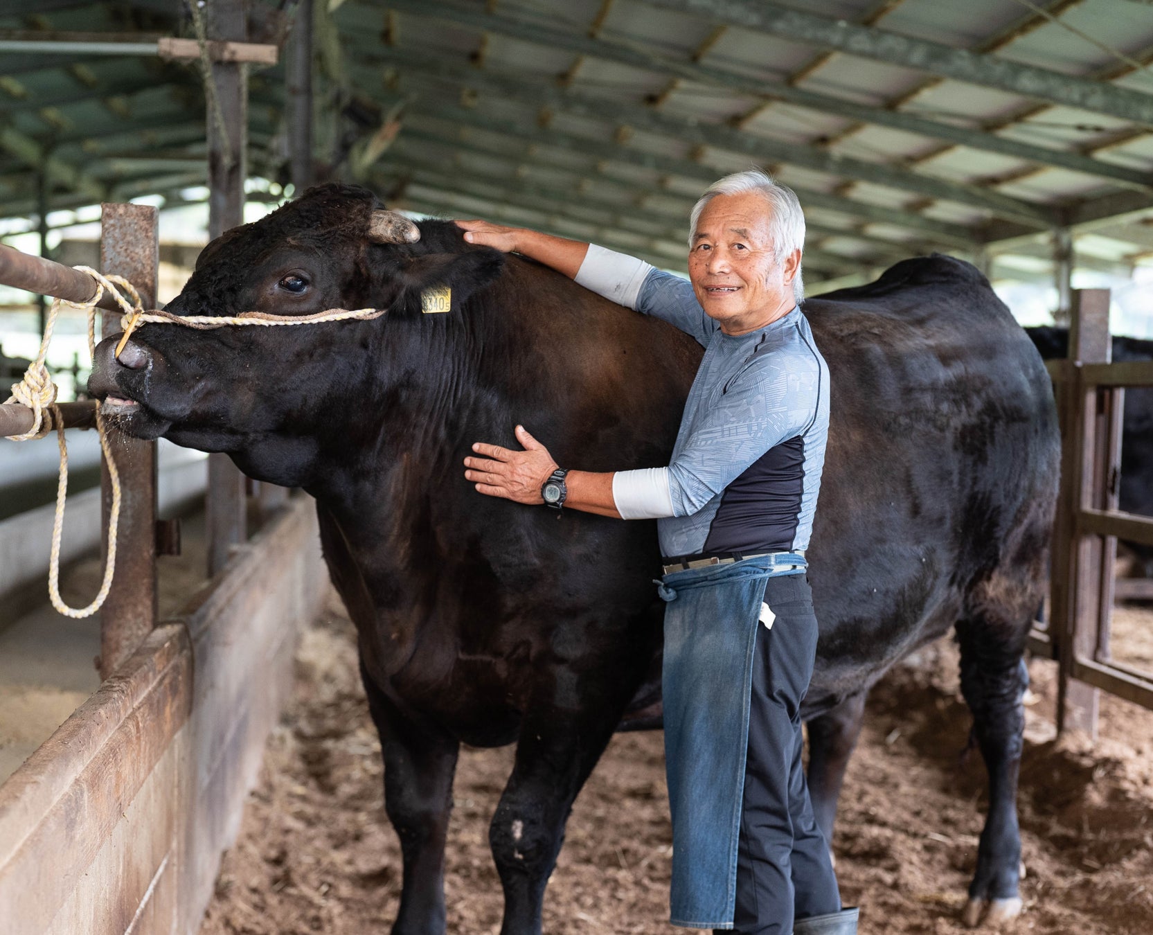 期間限定‼宮崎牛福袋⁉希少部位のお肉をお届け！ふるさと納税