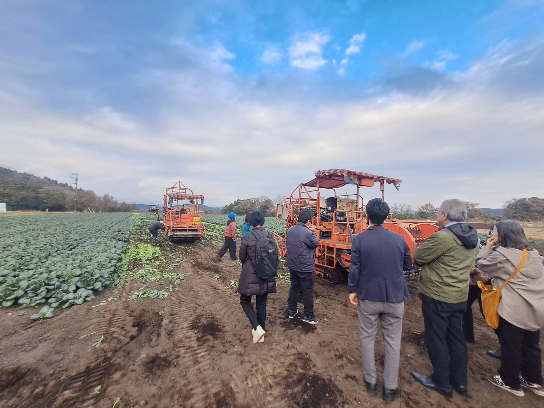 ショコラシーズンへのプロローグ。自由が丘の「カフェ ベルアメール」より、冬の余韻を楽しむアフタヌーンティーが登場