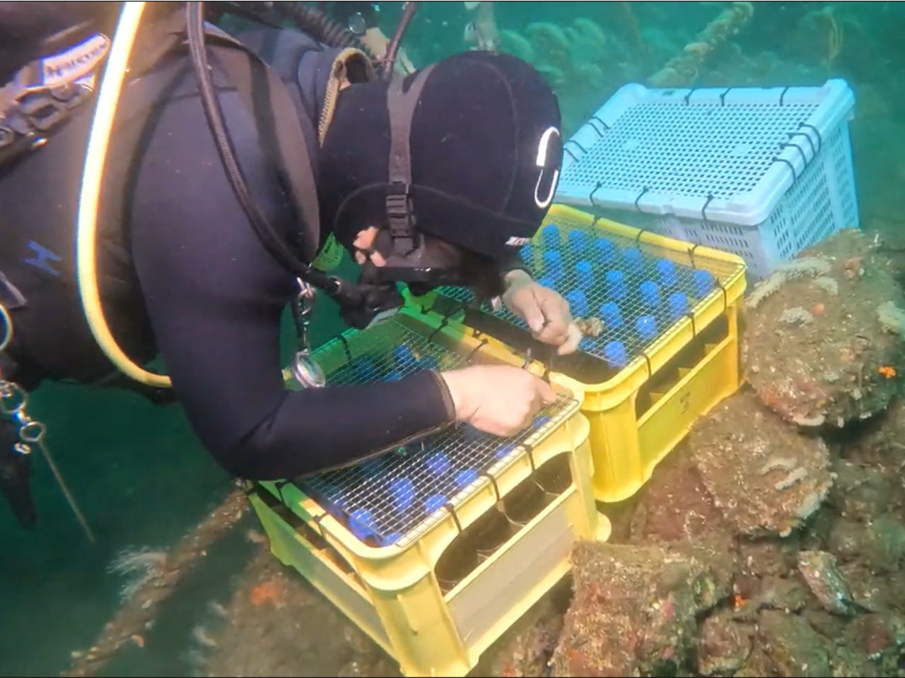 東駿河湾の豊かな自然で熟成されたクラフトビールを楽しもう！静岡のクラフトビールを様々なスタイルで楽しむビアイベントを開催します！