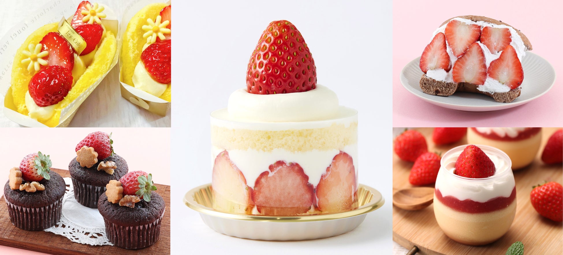 【チーズガーデン】カカオとチーズの個性が織りなす大人な味わい　バレンタインシーズンにぴったりな冬限定チーズケーキ『御用邸ショコラチーズケーキ』発売