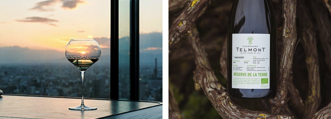 【海藻類に関する調査】直近1年間に食べた海藻類は「海苔」が約85％、「わかめ」が約76％、「昆布類」が約66％。海藻類に期待する効果・効能は「健康維持」が5割強