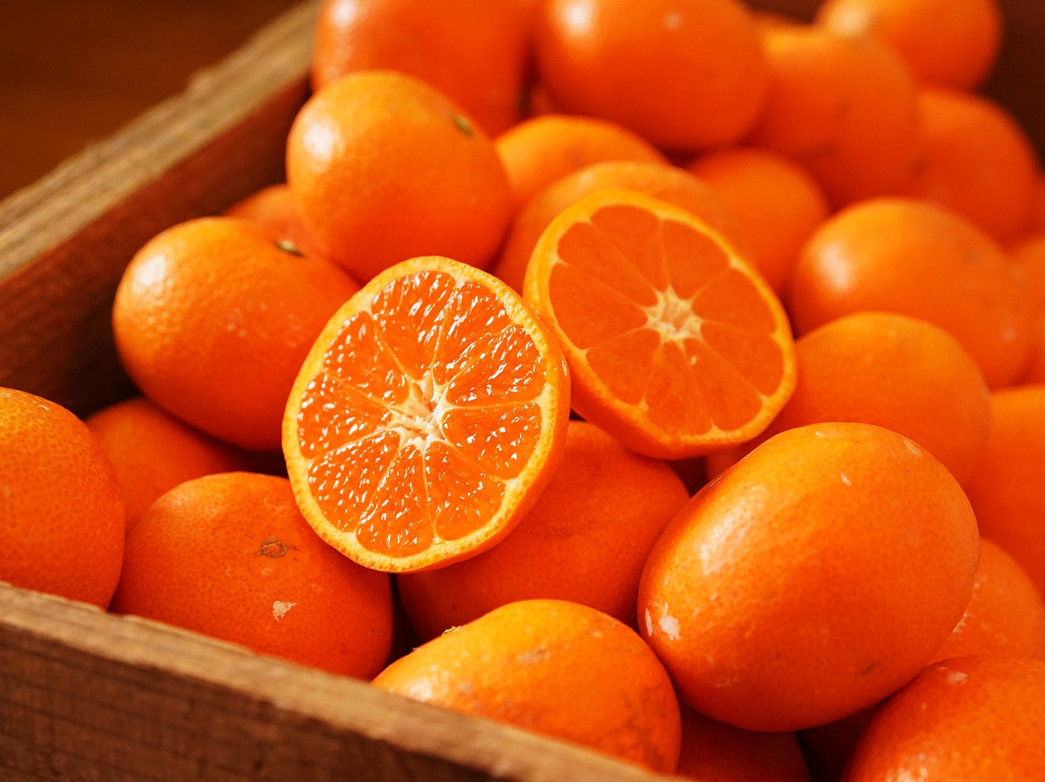 【銀座コージーコーナー】かわいらしさ、“ニャン”バー“ワン”♪「小犬」と「小ねこ」の焼菓子シリーズが缶・ポーチ・BOXの3種で登場！