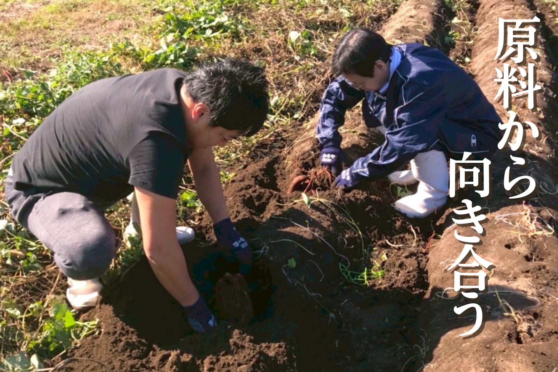 苺の華やぎとスイーツショコラが織りなす味わい。ベルアメール2026バレンタインコレクションが1月16日より店頭販売開始