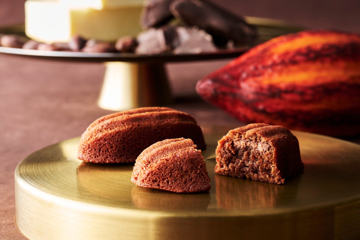 GiFU SPACE FOOD CHALLENGE 岐阜の美食を国際宇宙ステーションへ送り込むプロジェクトにあなたも参加しませんか？