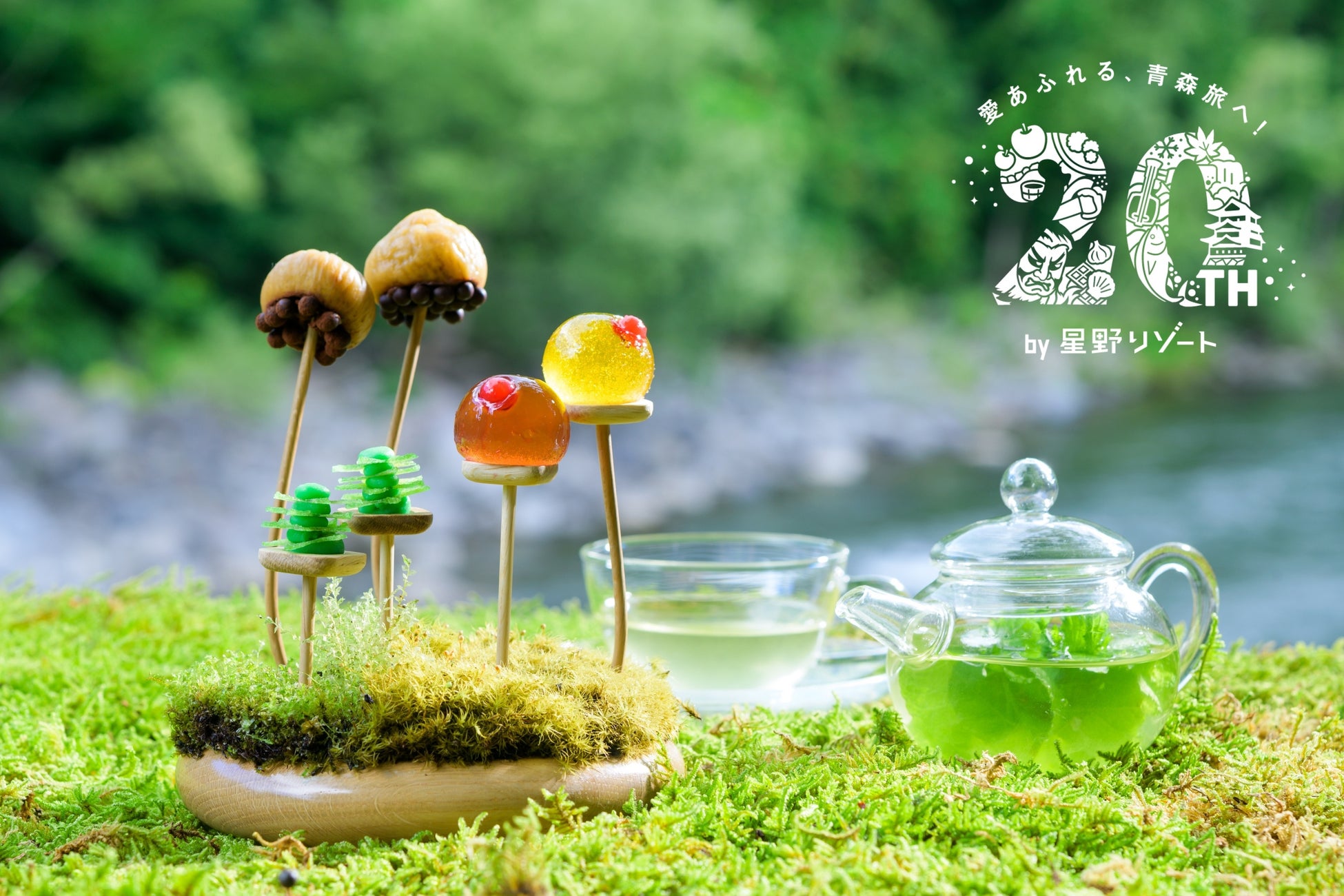 【奥入瀬渓流ホテル】春の楽しみは「お花見」だけじゃない！新・春の風物詩！苔の花を楽しむ「春のお苔見」開催