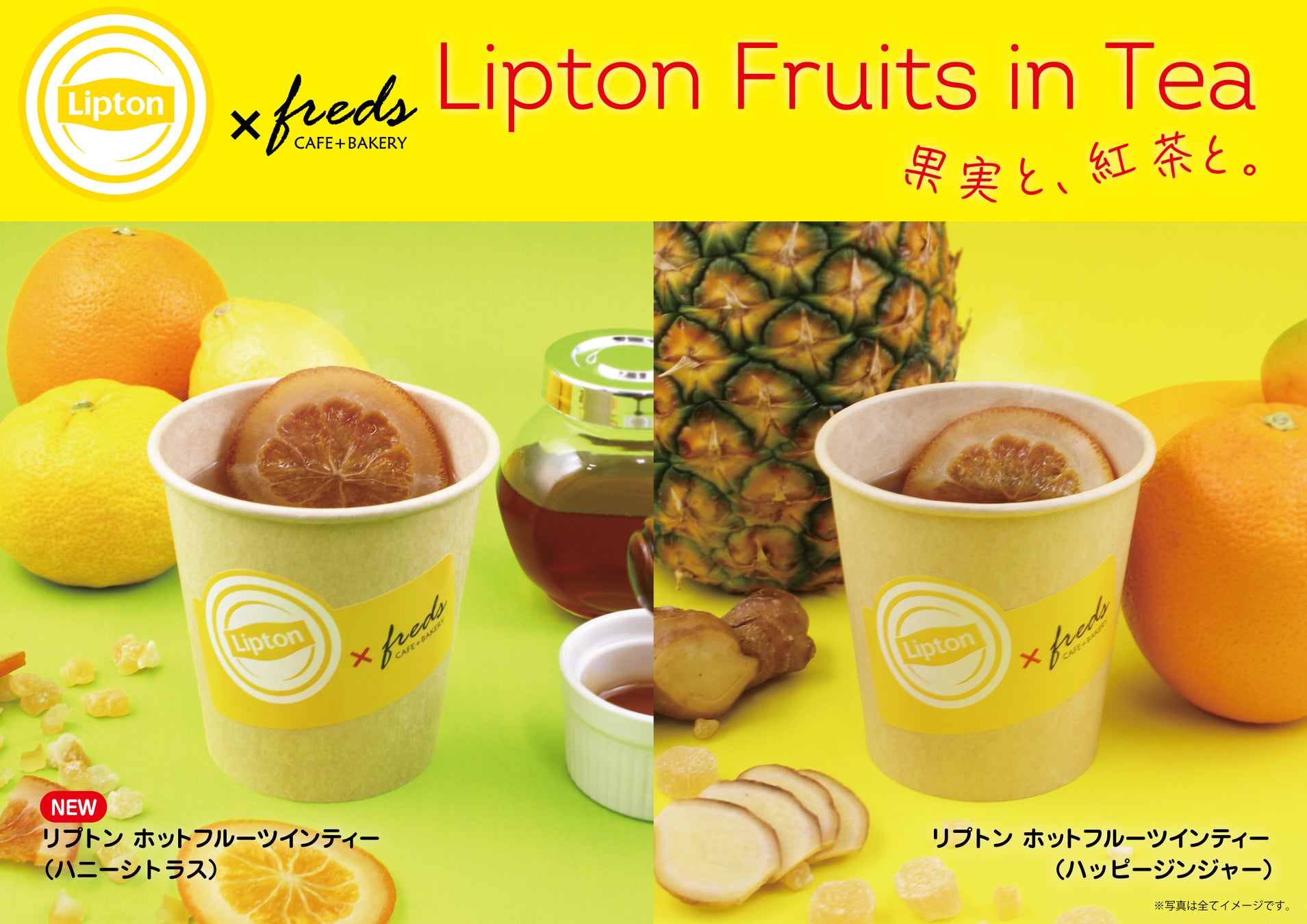 【フレッズカフェ】大好評のコラボが再び！冬を彩る贅沢な一杯が復活！リプトン監修「ホットフルーツインティー」を期間限定で販売