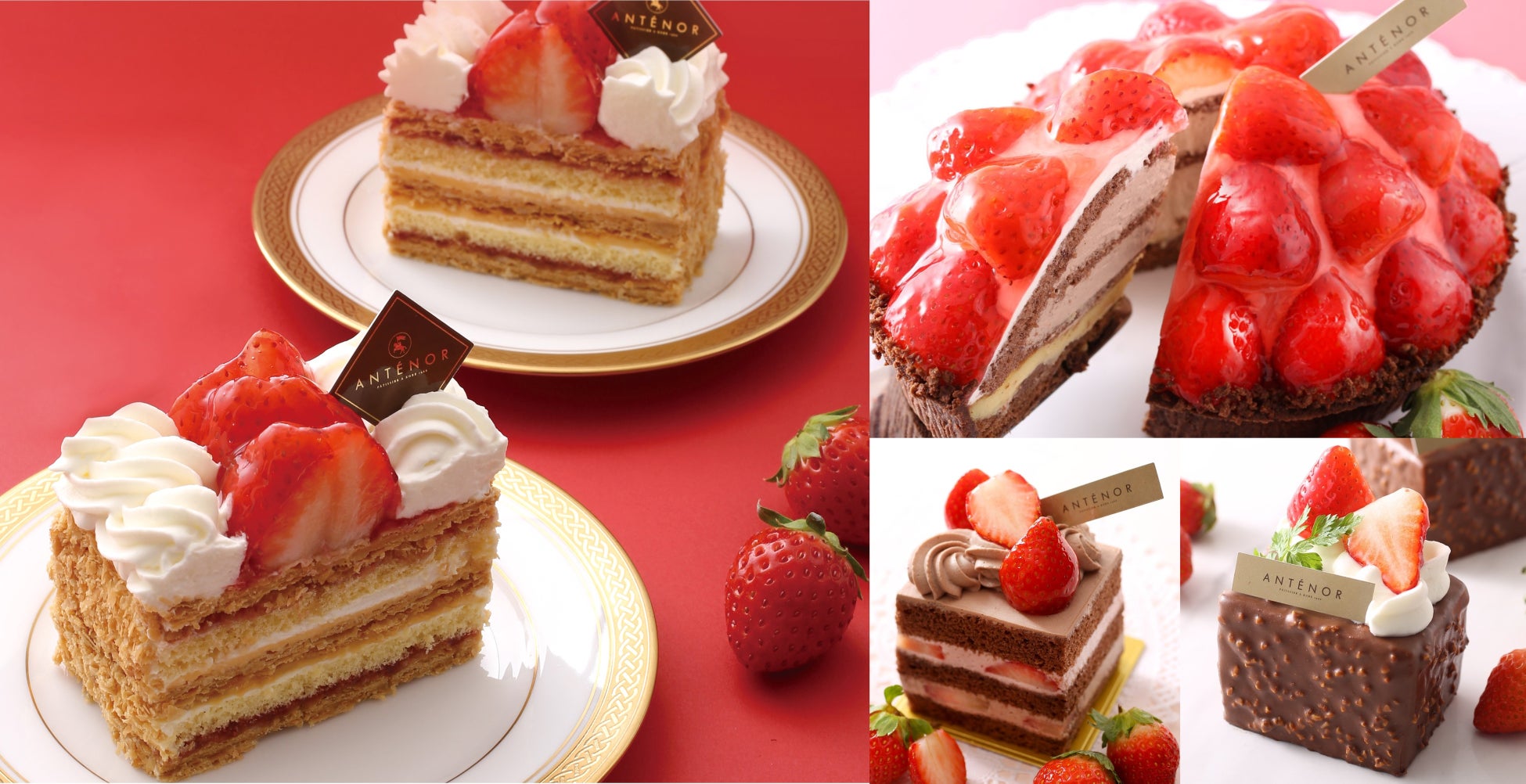 【愛知県安城市】冬空の下で熱戦を観戦!ズッボンが登場する「つかう.meet.FES」2/7開催(レバンガ北海道戦PV)