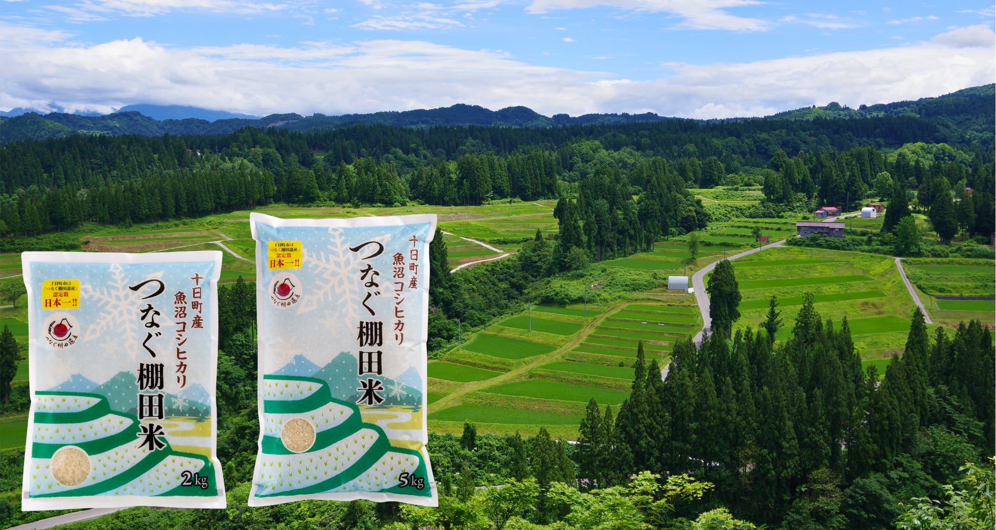 【「つなぐ棚田遺産」認定数日本一のまち・新潟県十日町市】「見る」絶景を、「食べて」未来へつなぐ。希少な棚田米と生産者の想いが届く「つなぐ棚田米」、ふるさと納税返礼品として提供開始