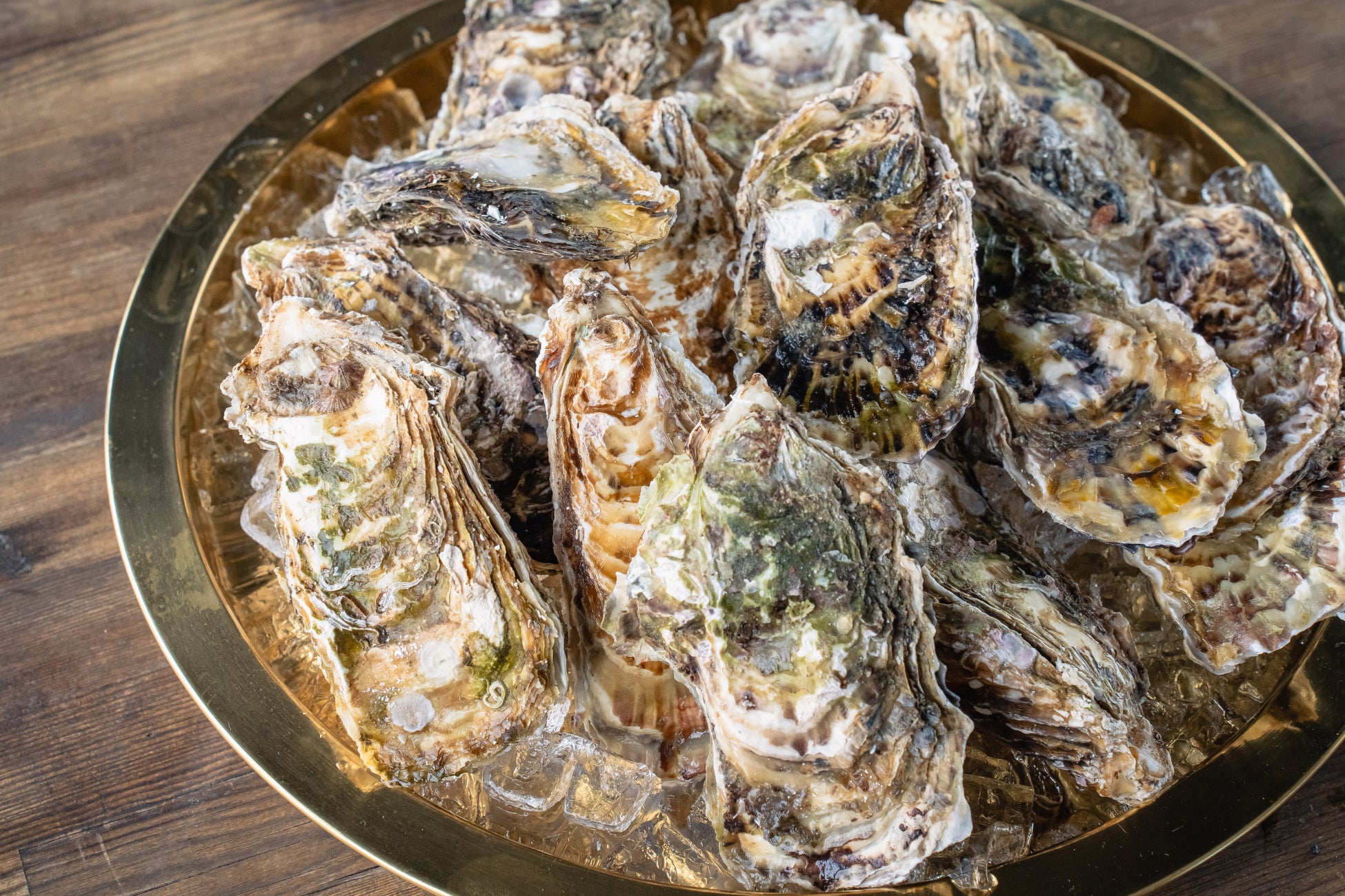 【岐阜県土岐市】食べなきゃ後悔？3日間限定の牡蠣食べ放題が開幕！1週間で500kg超の販売実績あり。旅する海鮮カキ小屋「カキダオレ」の新しい挑戦！