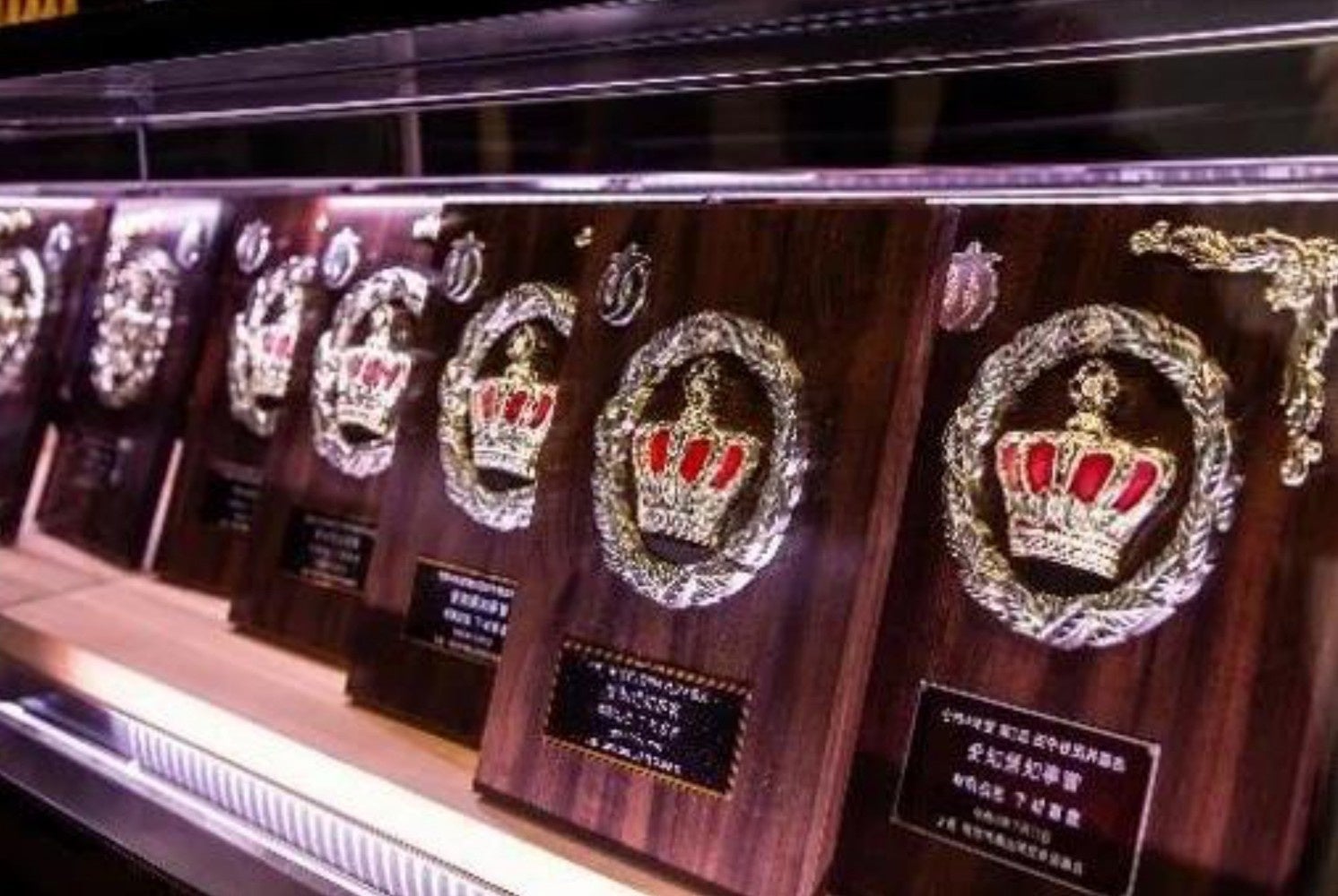 【実績レポート】愛知県知事賞13回連続受賞！新牛舎完成・飼育頭数増で、下村畜産は次の成長ステージへ