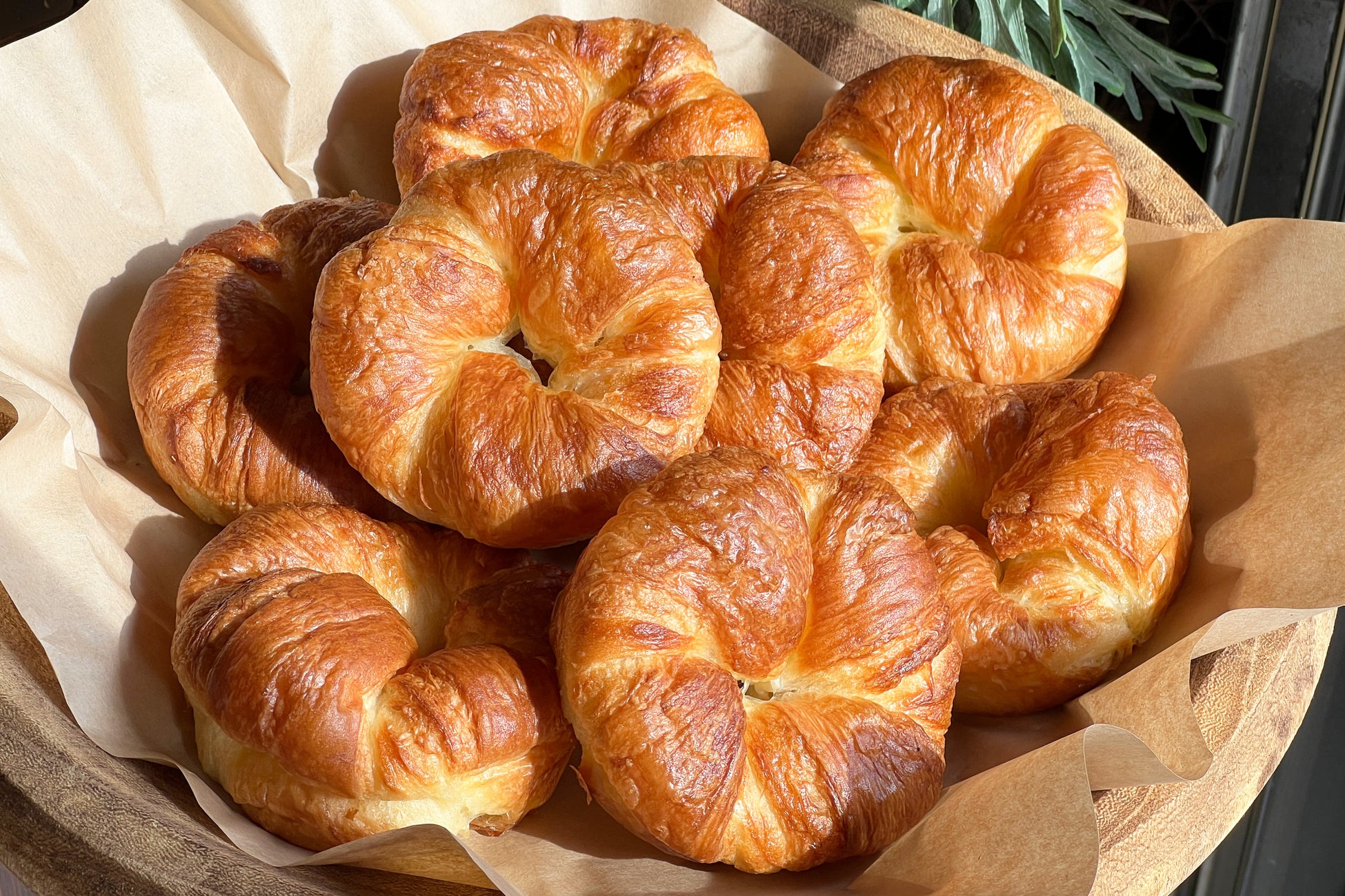 【3/3(火)~/7(土)】ITトレンドEXPO2026 Springに出展が決定しました！