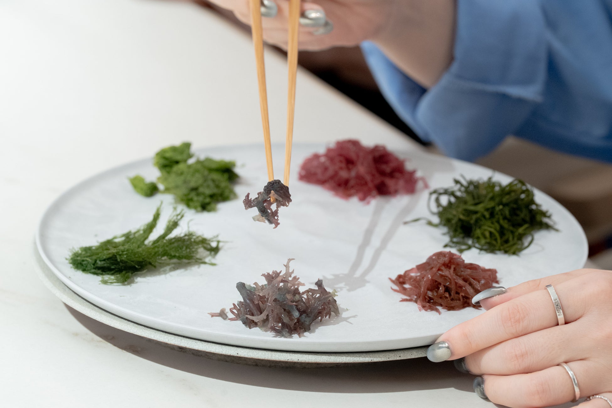 シーベジタブル、八重洲に新拠点。海藻の可能性をひらく実験の場「SEAVEGE- Kitchen Lab」を3月に始動