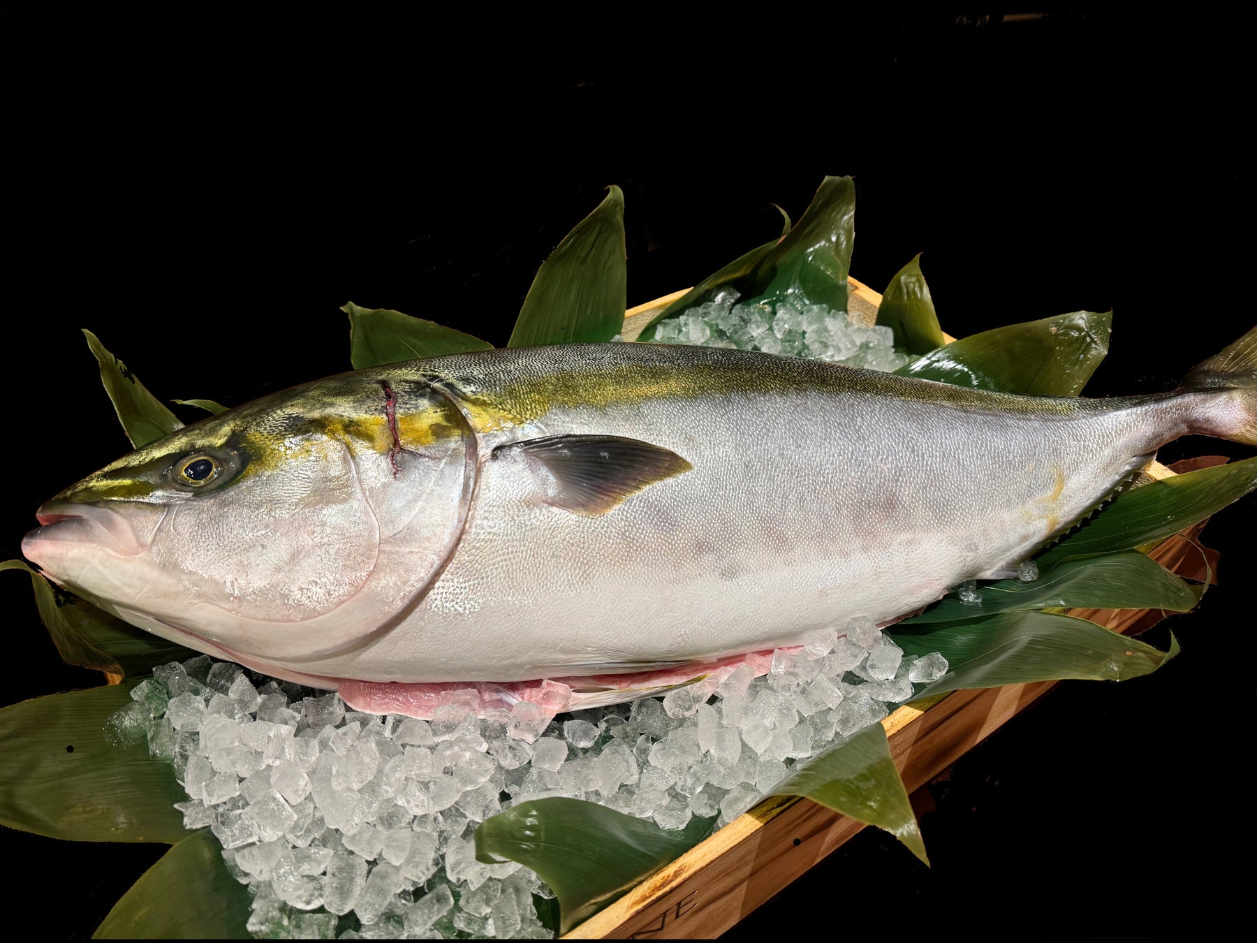 【ホテルメトロポリタン】～日本のうまいもの～「富山・石川・福井　北陸フェア」「北陸鰤まつり」毎週土曜日にオールデイダイニング「クロスダイン」にて実施