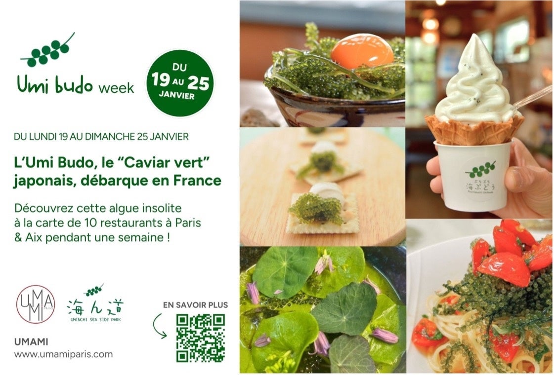 ミシュラン掲載店を含むフランスの10の飲食店と「海ぶどう」がコラボレーション　沖縄発「海ぶどう」を多彩なメニューで表現する『Umi budo week＠フランス』へ参加