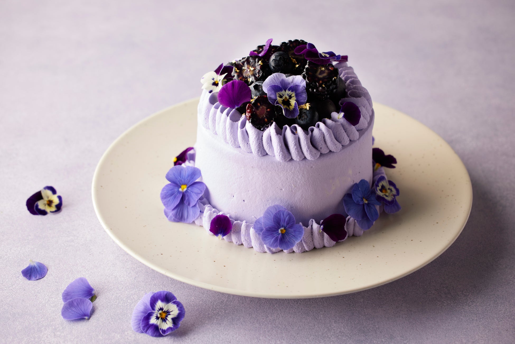 紫に恋するバレンタイン　オーガニックシュガーで仕立てた、花咲くフラワーケーキ「バレンタイン パープルホワイトチョコレート・ストロベリーショートケーキ」