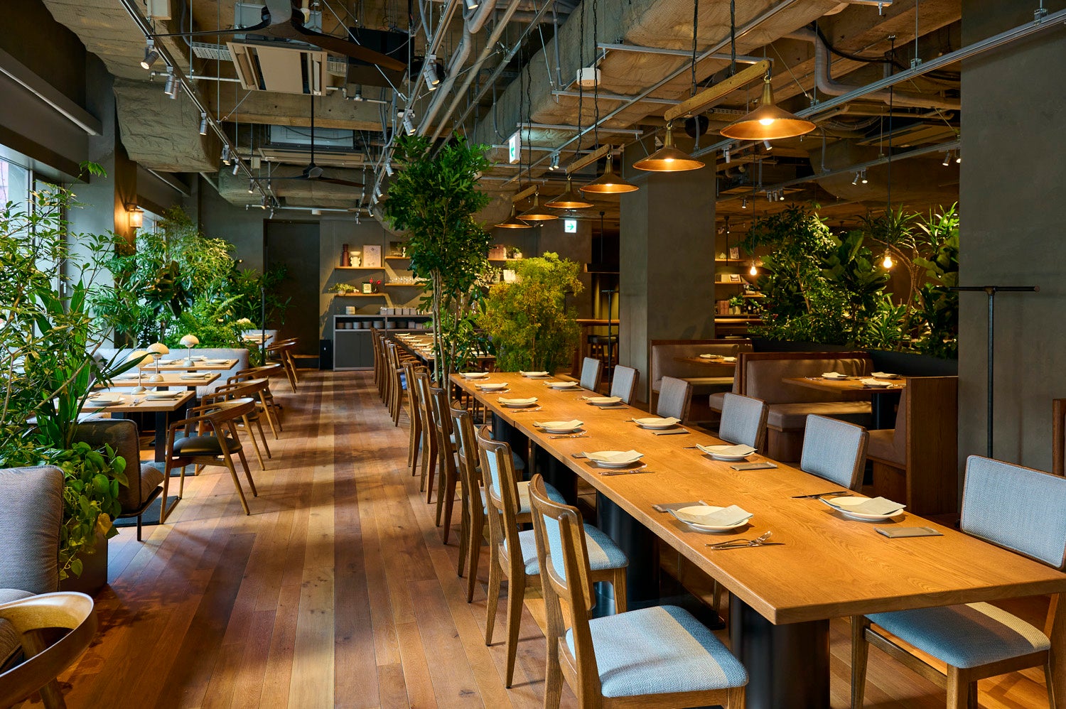 【LAZULI PLACE / LAZULI BAKERY】時間帯ごとに楽しむメニューを公開！朝から夜まで、街にひらかれた食の拠点としての一日